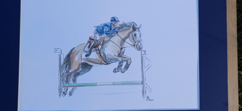 cavalier habillé en bleu sur un cheval au saut