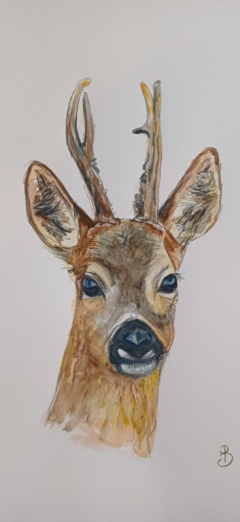 Joli chevreuil aux grands yeux noirs peint à l'aquarelle et crayons de couleur