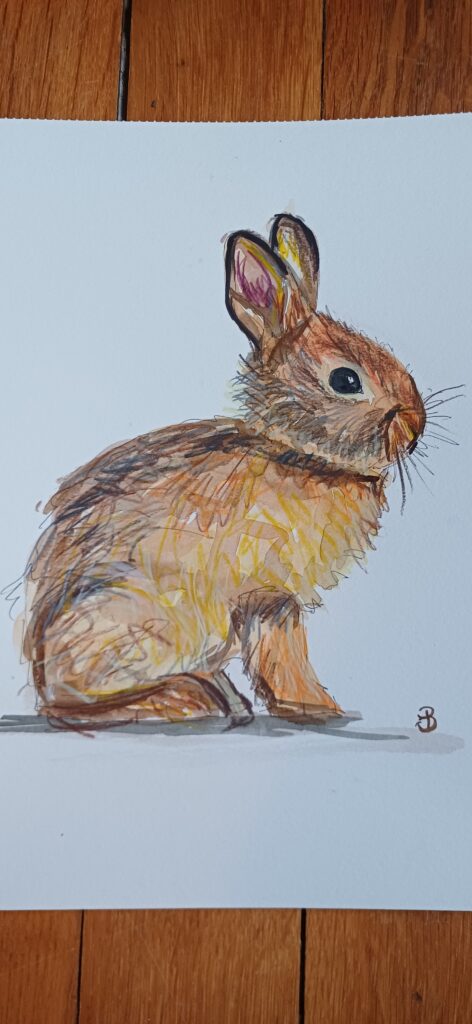 petit lapin trop mignon et crayonné