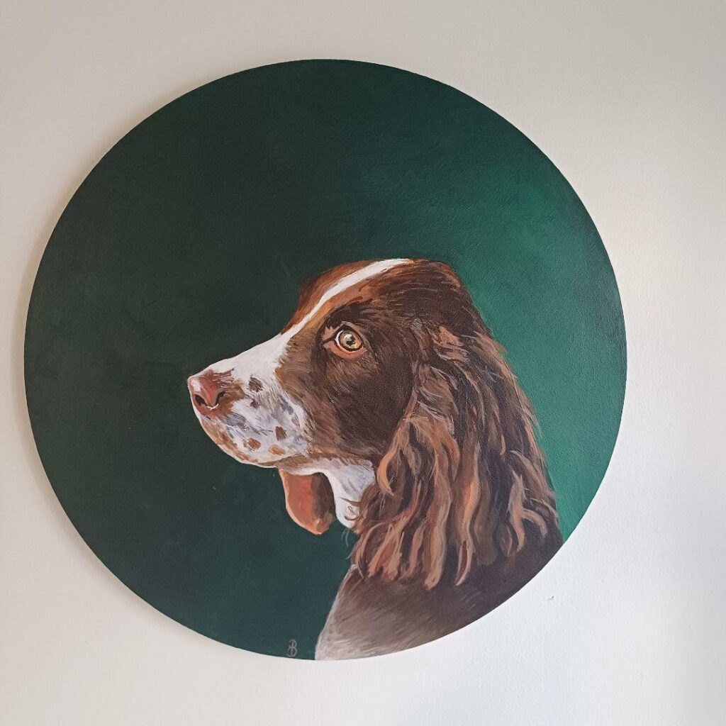 portrait de chien springer sur fond vert
