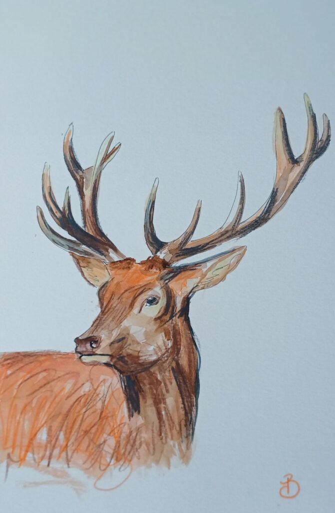 dessin de cerf sur papier aquarelle et crayons de couleur beaucoup d'orangé et grands bois