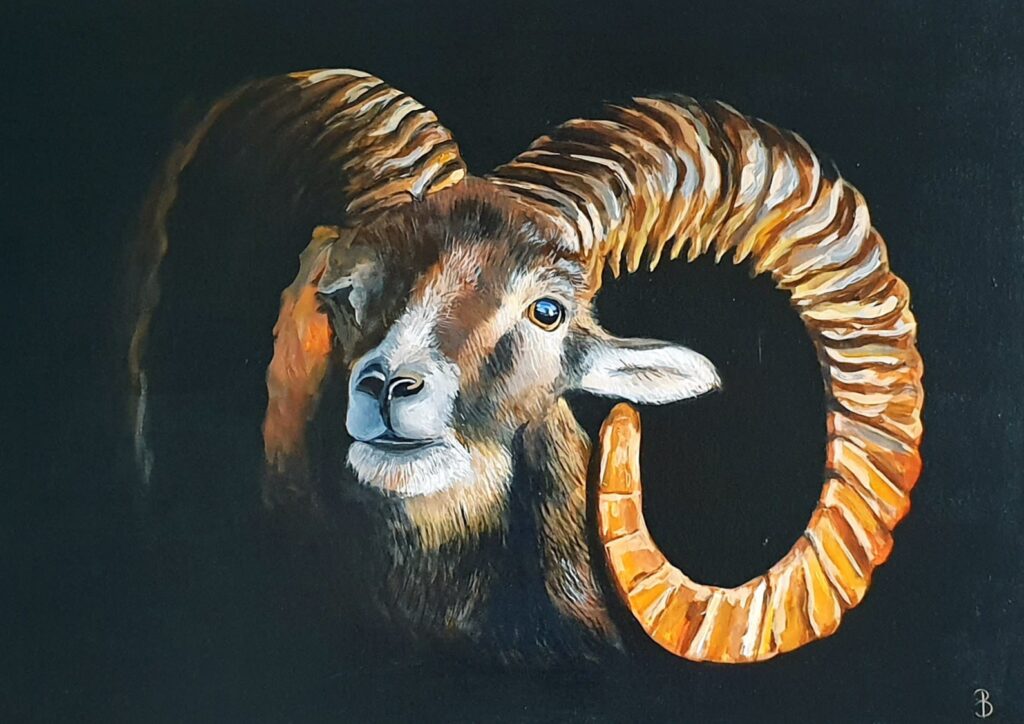 acrylique sur toile représentant un portrait de mouflon et ses grandes cornes jaunes avec un fond noir