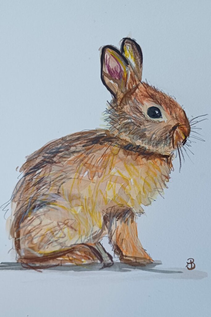 petit lapin trop mignon et crayonné