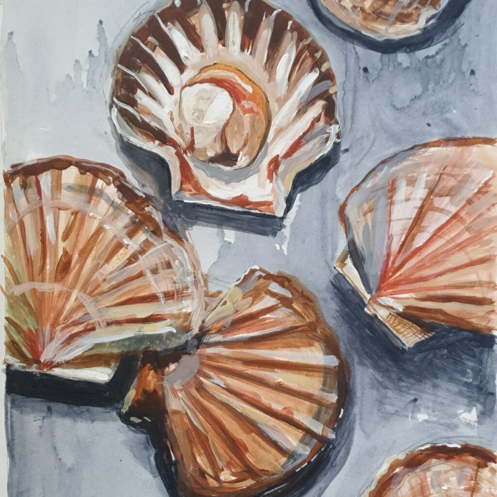 coquilles st jacques peintes sur papier
