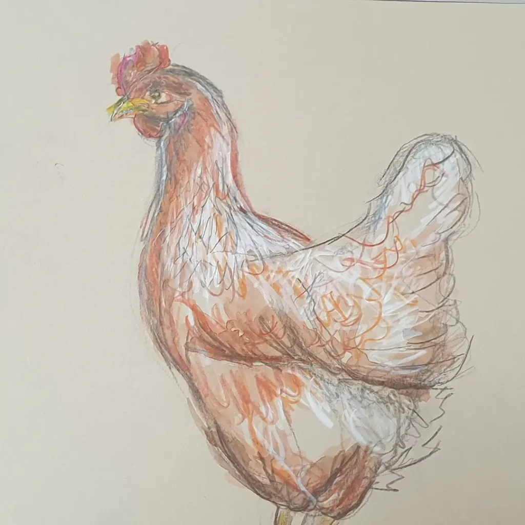 poule rousse dessinée à l'aquarelle et crayons de couleur sur papier