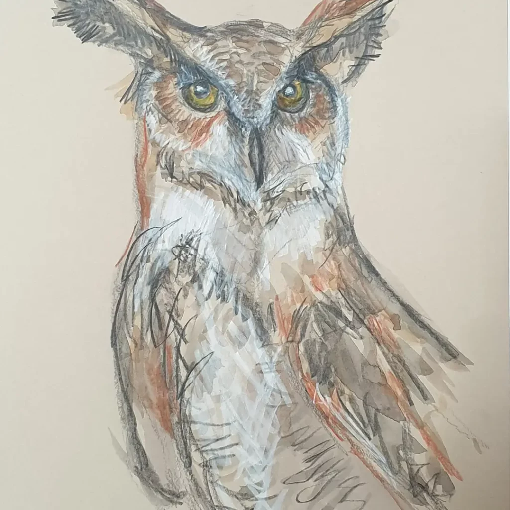 hibou dessiné aux crayons de couleur et avec d l'aquarelle
