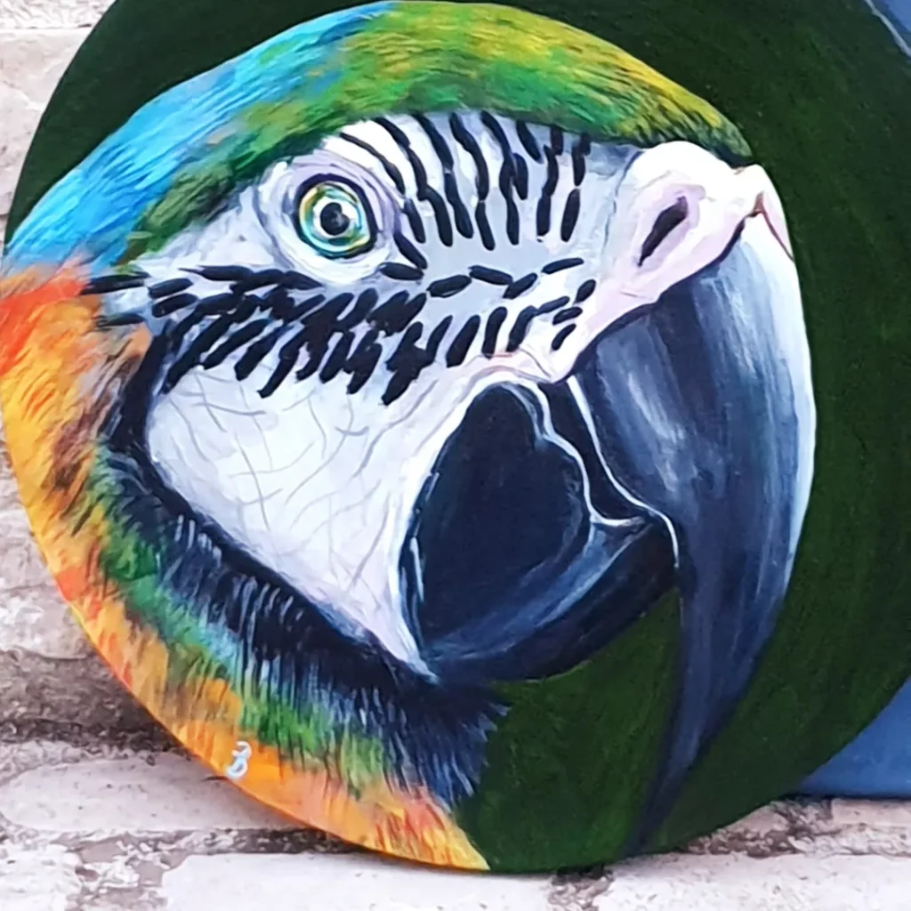 portrait d'ara sur toile ronde à l'acrylique