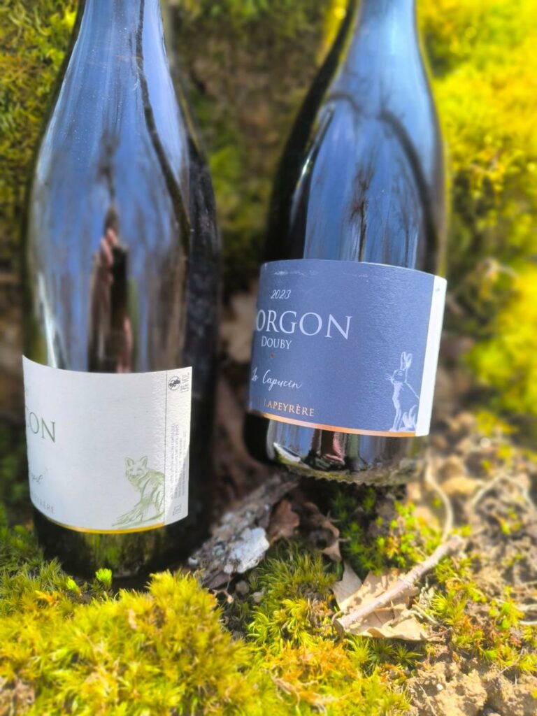 dessin de lièvre et de renard pour étiquette de vin