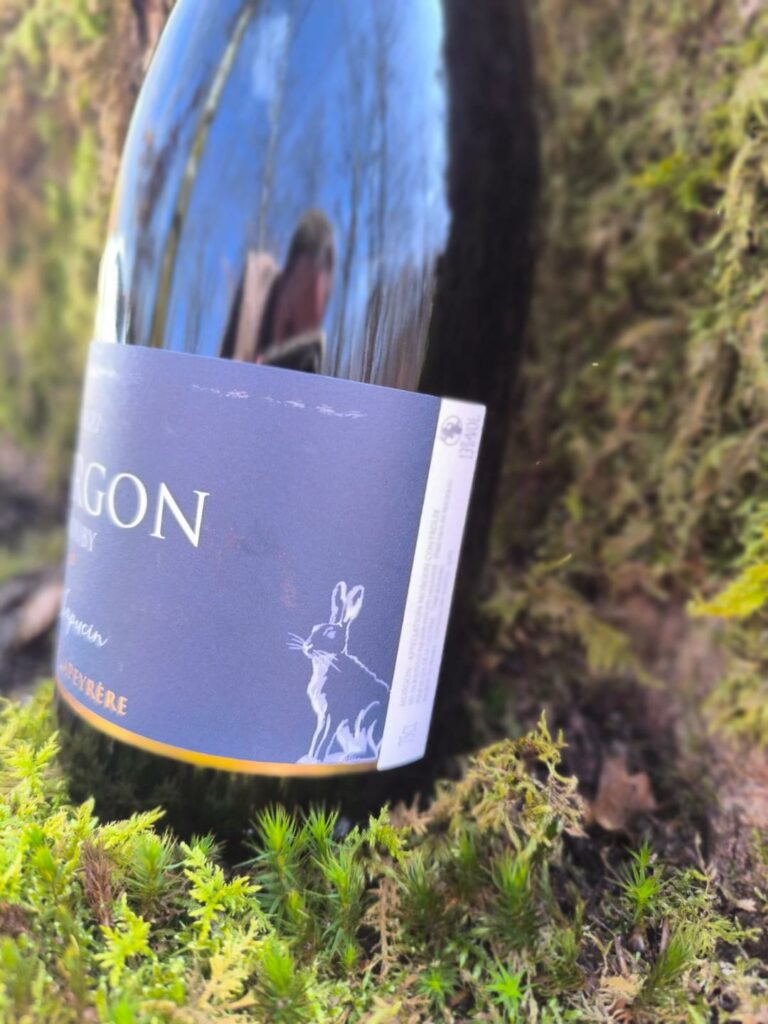 étiquette de vin lièvre morgon